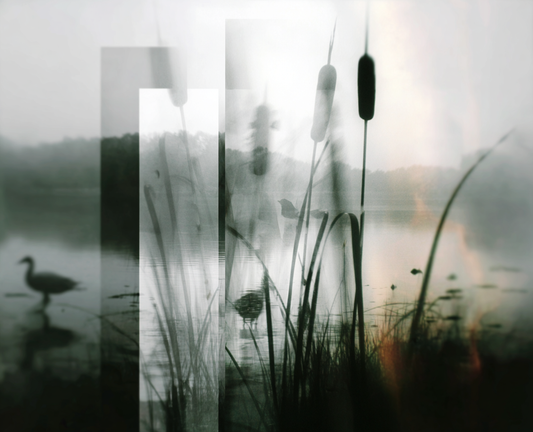 水辺の断片 Fragments of the Waterside